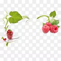 覆盆子草莓水果下载-覆盆子水果和水果-空若网 覆盆子草莓水果下载-覆盆子水果和水果-空若网