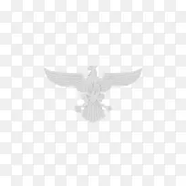 ���ද���������-������