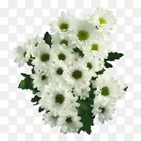 �����л��ջ����-�ջ�-������