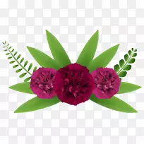 花卉剪贴画-美丽的植物剪贴画-空若网 花卉剪贴画-美丽的植物剪贴画-空若网