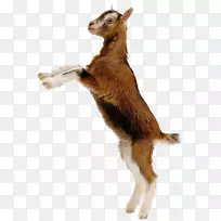 ٪��ɽ���и���ɽ�򣬽����������Ĵ���������ɽ������-ɽ��-������