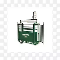 家养猪羊奥斯本家畜-绵羊饲养者-空若网 家养猪羊奥斯本家畜-绵羊饲养者-空若网