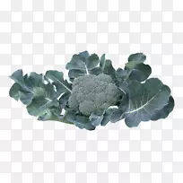 �໨Ҭ��-������