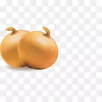 蔬菜洋葱水果南瓜洋葱-空若网 蔬菜洋葱水果南瓜洋葱-空若网