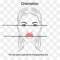 ����ѧ�������������ٴ�ָ��-������