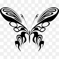 蝴蝶线艺术绘图夹艺术昆虫设计-空若网 蝴蝶线艺术绘图夹艺术昆虫设计-空若网