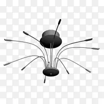 昆虫光无脊椎动物.装饰光效应-空若网 昆虫光无脊椎动物.装饰光效应-空若网