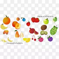 ˮ��ʳƷӣ��ʯ��������-������