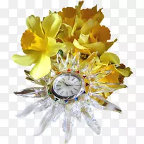 切花设计摄影.试管-空若网 切花设计摄影.试管-空若网