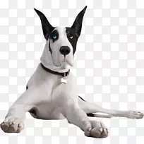 ľ�ذ��ô󵤿��ɶ��ѹ��ذ�.�ذ�-������