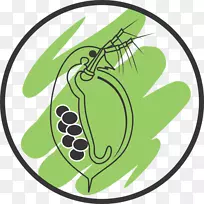 昆虫蝴蝶传粉动物食物-四面八方-空若网 昆虫蝴蝶传粉动物食物-四面八方-空若网