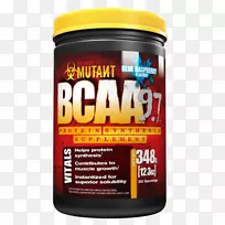 ֧����������ʳ�����-������