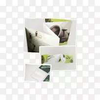 品牌家具.网络材料-空若网 品牌家具.网络材料-空若网