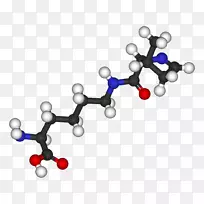 吡咯赖氨酸氨基酸终止密码子甲烷原遗传密码-蛋白质-空若网 吡咯赖氨酸氨基酸终止密码子甲烷原遗传密码-蛋白质-空若网