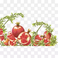 石榴番茄食品石榴-空若网 石榴番茄食品石榴-空若网