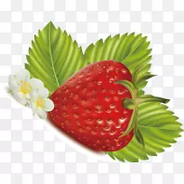 草莓装饰图案-空若网 草莓装饰图案-空若网