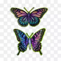 蝴蝶保险杠贴纸-空若网 蝴蝶保险杠贴纸-空若网