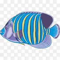 ����ʯ����ˮ����-Vis-������