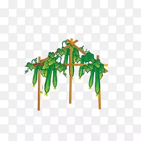 黄瓜蔬菜-空若网 黄瓜蔬菜-空若网