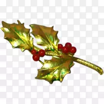 ����ʥ����׺����ֲ��Ҷ������Ҷ-������