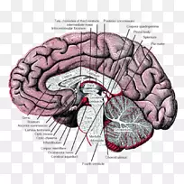 ���׽ں�ǰ�Խ���-��ϵͳ-������