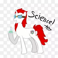 �����������Գ���ʺ����-��ѧר��-������