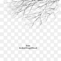 ��֦���ɶ���������-ѩ��-������