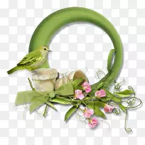 ���������ֽ-����-������