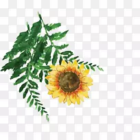 ���տ�ŷʽ���տ�-������