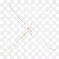 ��Ҷֲ֦�ﾥ��-����-������