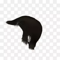 ëƤʳ�⶯��Ұ������-���Ӽٷ�-������