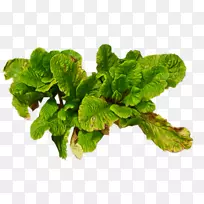 叶类蔬菜-花叶-空若网 叶类蔬菜-花叶-空若网