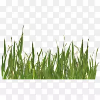 ��ݼ�����-���ͼƬ-������