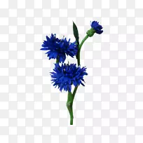 切花植物茎花设计花蕾婚礼-空若网 切花植物茎花设计花蕾婚礼-空若网