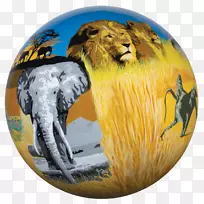 有机体动物-多面-空若网 有机体动物-多面-空若网