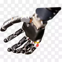 ����ҽѧ��������ҽѧ��ѧ�����֫��������-������