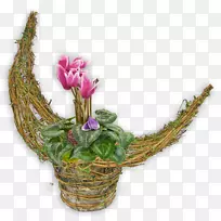 �л���������ƣ��˹�����-õ�廨��-������