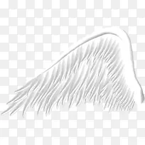 ���ͼƬ������Ӱ��-��ɫ���-������