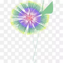 ������-����-������