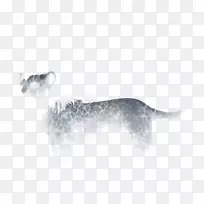 犬种犬科鼻子食肉-裂痕-空若网 犬种犬科鼻子食肉-裂痕-空若网