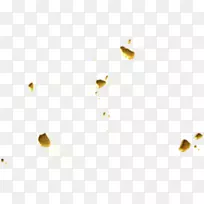 特写桌面壁纸昆虫宏观摄影着陆-空若网 特写桌面壁纸昆虫宏观摄影着陆-空若网