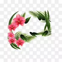 切花兰花植物兰花载体-空若网 切花兰花植物兰花载体-空若网