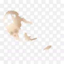 �����ֽ��Ӱ��������-������