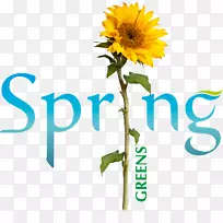 斯普林格科学+商业媒体计算机会议讲稿出版学术会议-春季绿色-空若网 斯普林格科学+商业媒体计算机会议讲稿出版学术会议-春季绿色-空若网