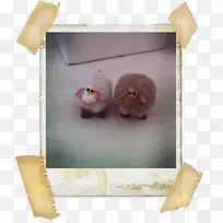 摄影瞬间相机纹理偏光片公司拼贴-婚纱12 2 1-空若网 摄影瞬间相机纹理偏光片公司拼贴-婚纱12 2 1-空若网