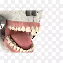 动画三维计算机图形电影制片业.三维牙齿-空若网 动画三维计算机图形电影制片业.三维牙齿-空若网