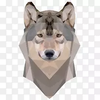 狗,鼻子,食肉动物-创造的Ramadhan-空若网 狗,鼻子,食肉动物-创造的Ramadhan-空若网