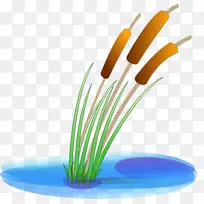 ���ѳ���������.����-������