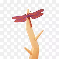 蜻蜓卡通昆虫-蜻蜓-空若网 蜻蜓卡通昆虫-蜻蜓-空若网