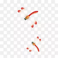 蜻蜓昆虫图标-橙色蜻蜓-空若网 蜻蜓昆虫图标-橙色蜻蜓-空若网